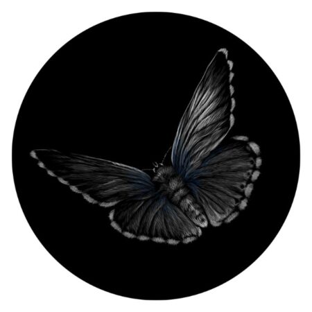 Papillon Panonderzetters - Vlinder - Afbeelding 2