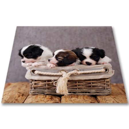 Papillon Wasmachine mat - Puppies