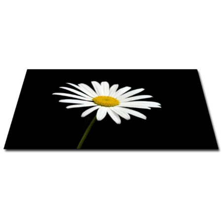Papillon Inductie Beschermer - Margriet