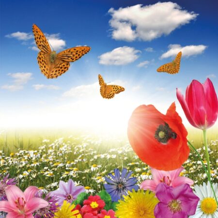 Papillon Wasmachine mat - Lente - Afbeelding 3