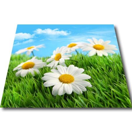 Papillon Wasmachine mat - Margrieten
