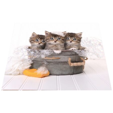 Papillon Wasmachine mat - Poesjes