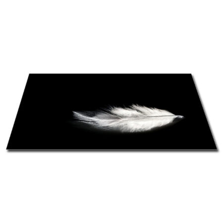 Papillon Inductie Beschermer - Veer Wit