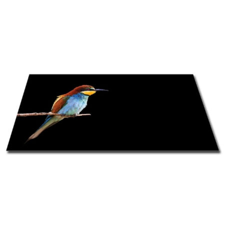 Papillon Inductie Beschermer - Paradijsvogel