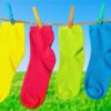 Papillon Wasmachine mat - Sokken - Afbeelding 3